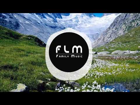 GTA & Wiwek Ft. Stush - What We Tell Dem (SeiFox Remix)