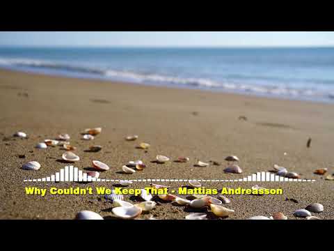 Why Couldn't We Keep That - Mattias Andreasson