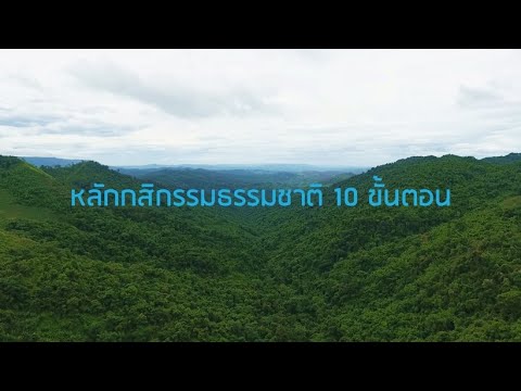 ขั้นตอน