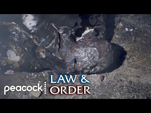Teenage Boy Burnt to Death | Law & Order