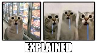 drooling cat meme explained