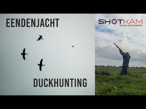 Eendenjacht op #ShotKam ~ Duckhunting in Holland