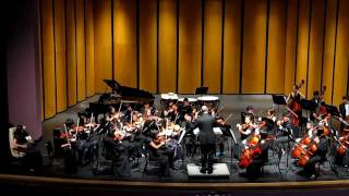 String Orchestra - 