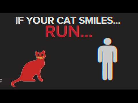 If your Cat smiles…RUN- Analog Horror