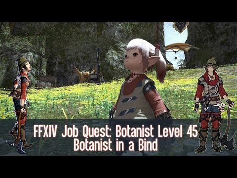 FFXIV Botanist (BTN) Job Quest: Level 45 - Botanist in a Bind