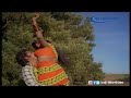 Madhukkadalo Margadha Rathamo Song HD Kumari Pennin Ullathile