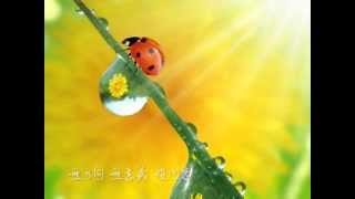 尋著您的那天 - (盧永亨作品集 02 - 尋著您的那天)