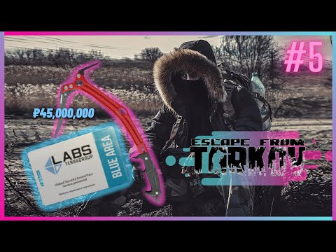 All 25 Shturmans - Blue Keycard! - Escape From Tarkov Highlights #5