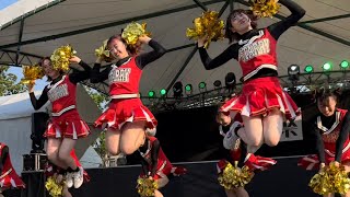 医大祭チアリーディング