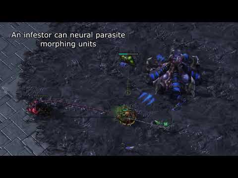Neural Parasite shenanigans? Useless Facts #9