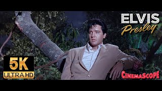 Elvis Presley AI 5K Restored - The Girl i Never Loved (1967)