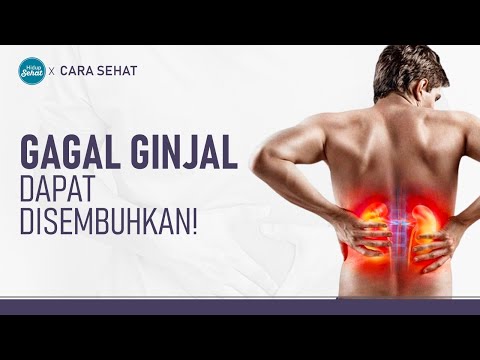 Jangan Khawatir! Gagal Ginjal Bisa Disembuhkan Dengan Cara Ini | Hidup Sehat tvOne