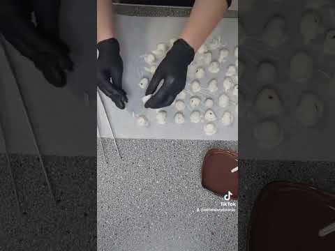 Zmeura învelită în ciocolată ♥️