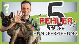 Wie viel sollte ein deutscher Shepherd-Welpengewicht bei 3 Monaten