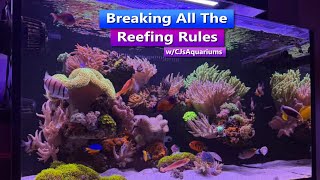 Breaking All the Reefing Rules - CJsAquariums Live