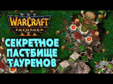 СЕКРЕТНОЕ ПАСТБИЩЕ ТАУРЕНОВ: Hawk (Hum) vs TGW (Orc) Warcraft 3 Reforged