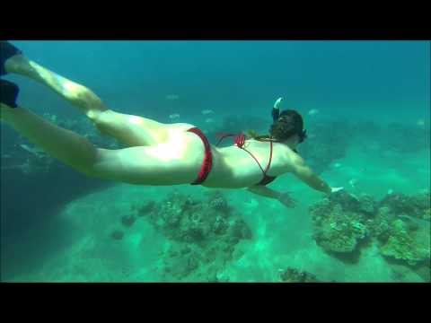 Freediving Maui Gopro Hero 3
