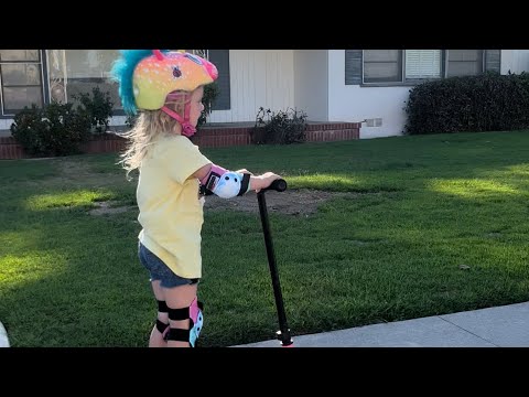 🛴DEFINITION OF MOBBIN 🛴