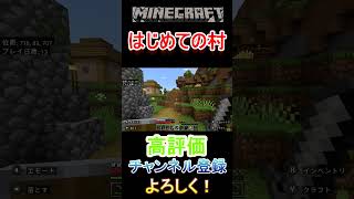 【マインクラフト】はじめての村