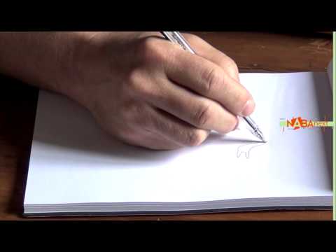 Interview with Mario Piazza