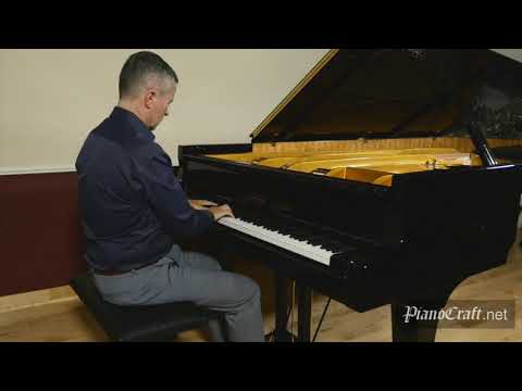 Michael Adcock Schubert/Liszt Standchen Estonia Concert Grand 274