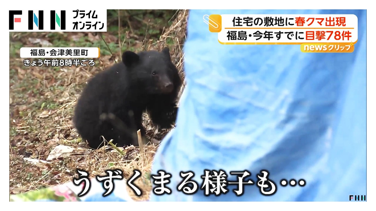 住宅の敷地内に“春クマ”出没　前日も同じ場所で目撃（2026年03月31日）