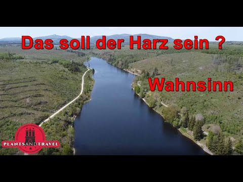 Wandern in  Wernigerode, Harzliebe. Mit dem Camper im Harz