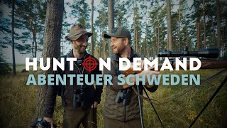 Abenteuer Schweden 🇸🇪 Bockjagd in Trolle Ljungby I Teil 1 von @realhunterschannel