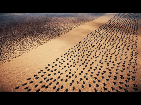 1 Million Spartans Vs 10k Troll | Ultimate Epic Battle Simulator 2 | UEBS2