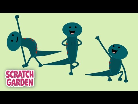 Salamander Yoga - Now with Scared Squirrels! | 5-minute Yoga Break | Scratch Garden