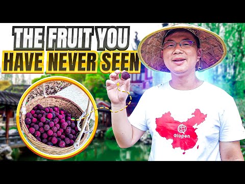 Chinese Bayberry: an Exquisite and Delicious Fruit