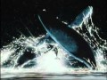 Fantasia 2000 IMAX Trailer