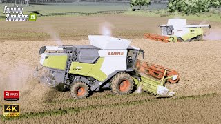 2x Claas harvesting rye ! | FS25 Reshade Gameplay