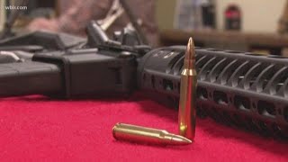 Blount Co. passes Second Amendment Sanctuary resolution