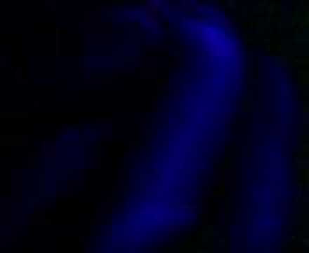 DO YOU LIKE YOUR HARDCORE?