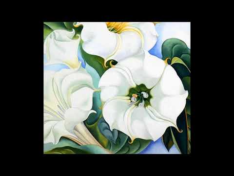 Jimson Weed from Collision Etudes - Teeny Tiny Desk Concert