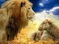 The Lion's Share ~ Dan Fogelberg [ CC ]