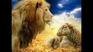 The Lion&#39;s Share ~ Dan Fogelberg [ CC ]