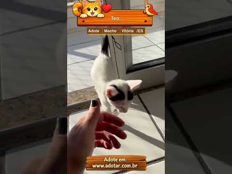 Vídeo de Teo