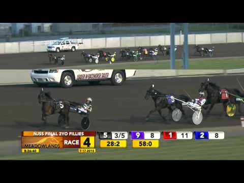 New Jersey Sire Stakes Final - All The Time - July 17, 2015