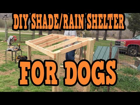 THE DOGS HAVE SHADE AGAIN/DIY SHADE & RAIN SHELTER