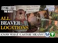 All Beaver Locations Know What Castor Means Dying Light The Beast