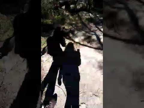 Ladies Bathes; Victoria July-2022