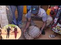 KAKAKUONA AONEKANA MVOMERO AKATAA KUCHAGUA SILAHA ACHAGUA MAZAO