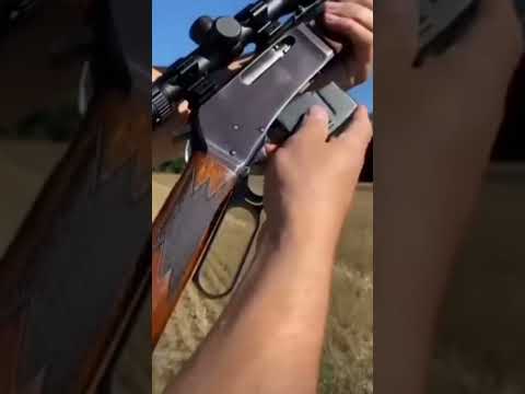 BIr 243 liver action rifle