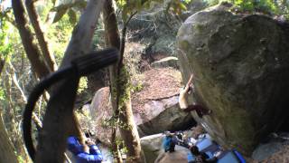 豊田　蛇の目(e)