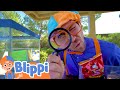 Sink Or Float With Blippi Fun Science Experiment For Kids Educational Videos For Kids