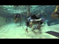 Underwater Rovers Camp 