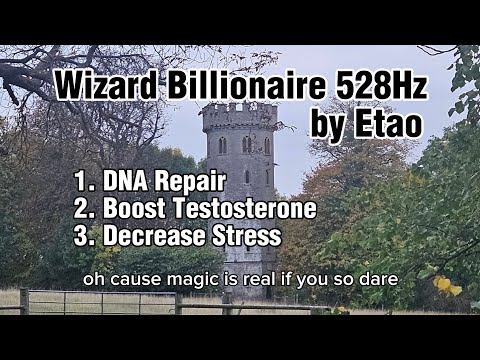 Wizard Billionaire 528Hz by Etao (DNA REPAIR MIRACLE TONE) 
