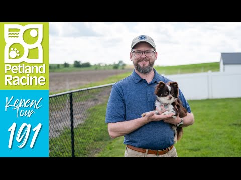 Petland Racine Kennel Tour 191